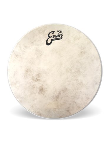 EVANS Calftone. Parche batidor, 10 pulgadas