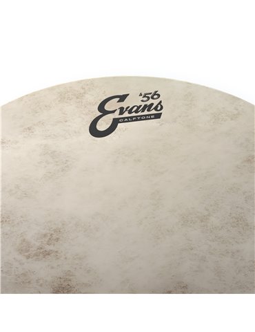 EVANS Calftone. Parche batidor, 10 pulgadas 2
