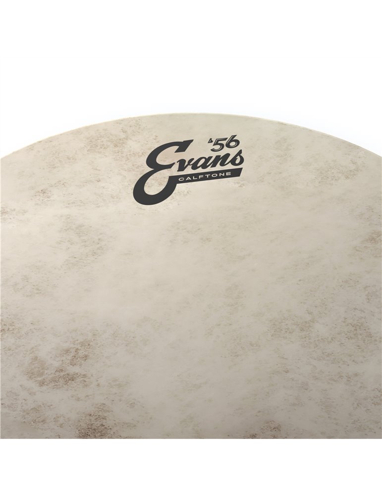 EVANS Calftone. Parche batidor, 10 pulgadas