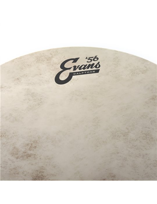 EVANS Calftone. Parche batidor, 10 pulgadas