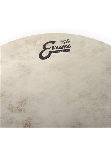 EVANS Calftone. Parche batidor, 15 pulgadas 2