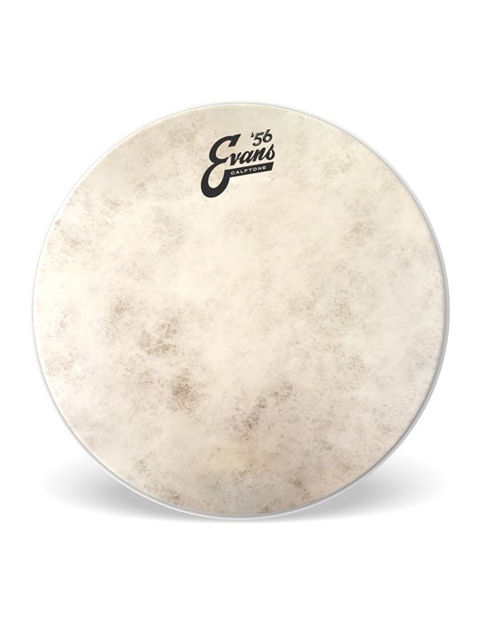 EVANS Calftone. Parche batidor, 16 pulgadas