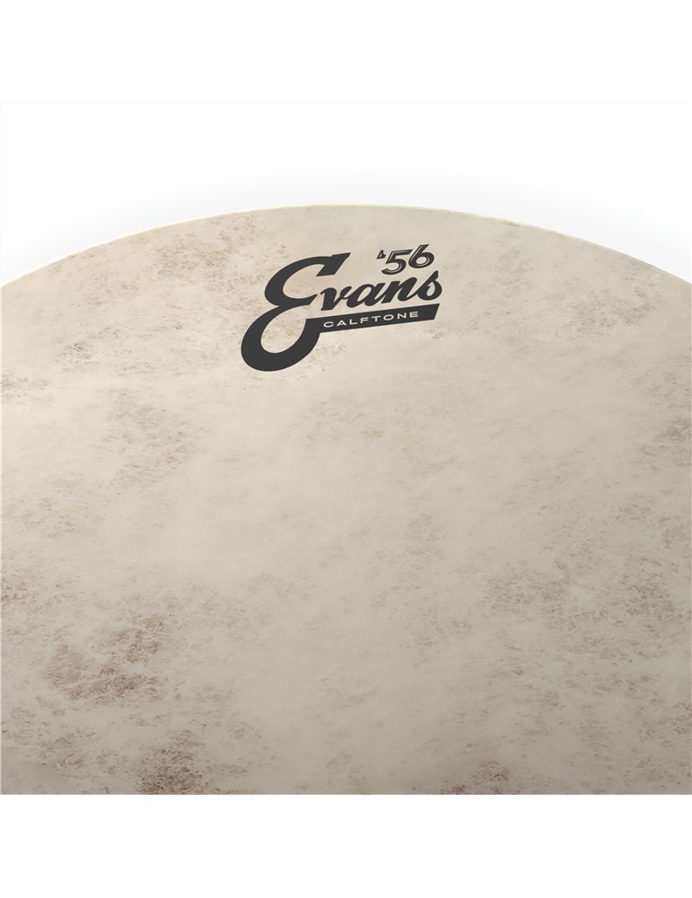 EVANS Calftone. Parche batidor, 16 pulgadas