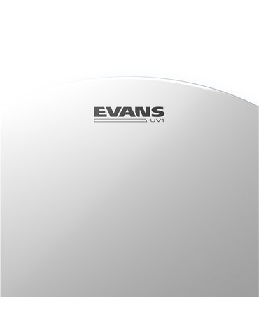 EVANS UV1. Parche rugoso, 10 pulgadas 2