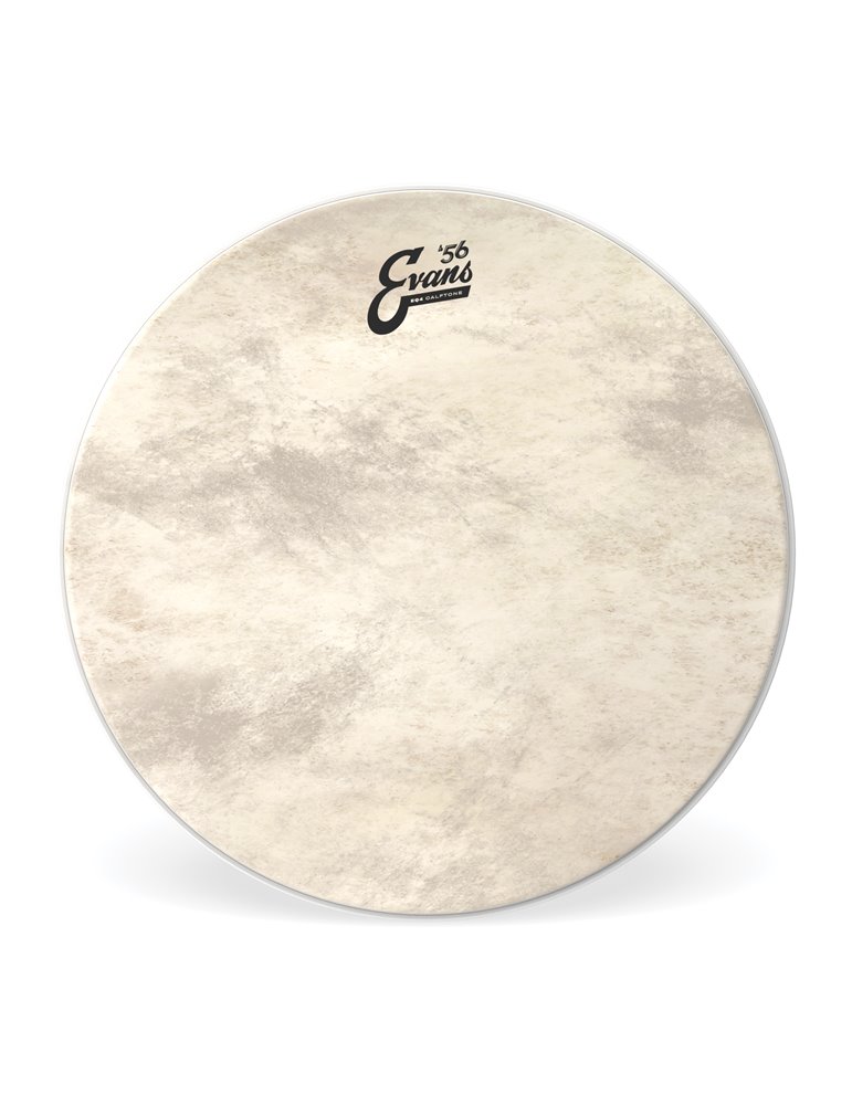 EVANS EQ4. Parche de tom de Calftone, 16 pulgadas