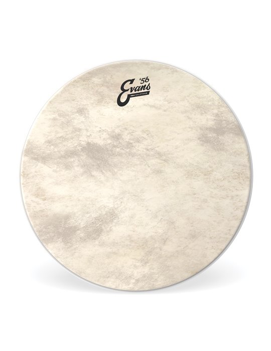 EVANS EQ4. Parche de tom de Calftone, 16 pulgadas