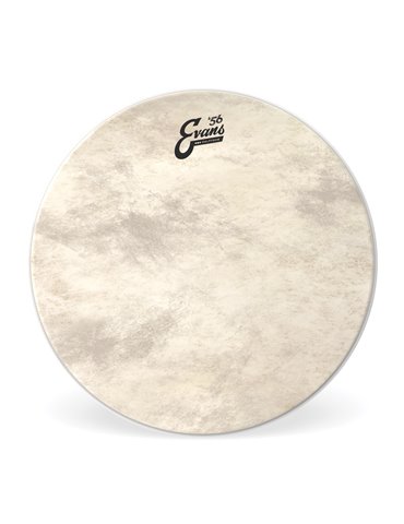 EVANS EQ4. Parche de bombo de Calftone, 24 pulgadas