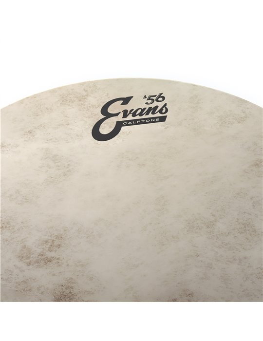EVANS Calftone. Parche de tom transparente, 16 pulgadas