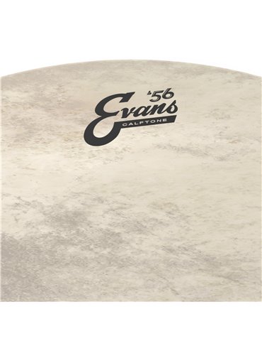 EVANS. Parche de bombo de Calftone, 18 pulgadas 2