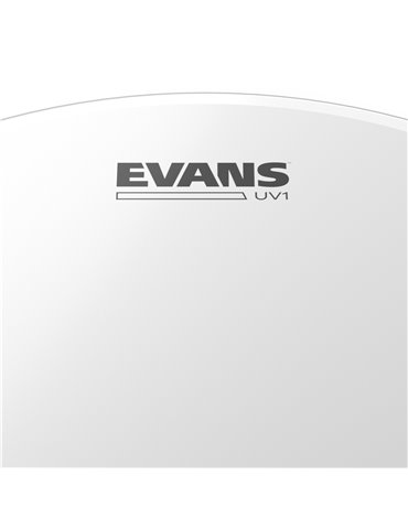 EVANS UV1. Parche de bombo, 16 pulgadas 2