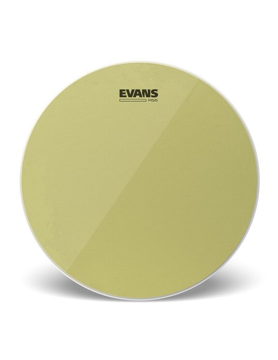 EVANS MS5. Parche bordonero de caja de marcha, 13 pulgadas