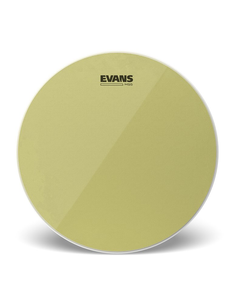 EVANS MS5. Parche bordonero de caja de marcha, 14 pulgadas
