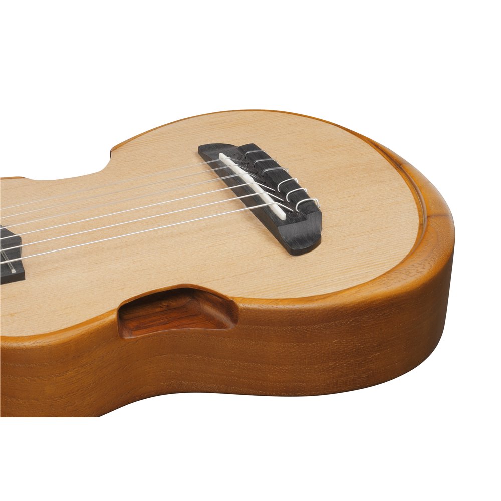 Ibanez AUP10N OPN Ukelele Tenor Funda Incluída