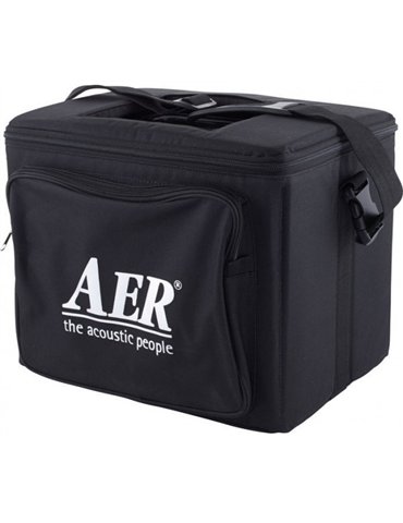 AMPLIFICADOR AER COMPACT 60-4 ROBLE 2