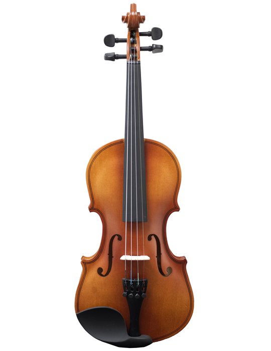 VIOLÍN AMADEUS VA-101 1/2