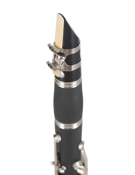 CLARINETE AMADEUS CL-804N17