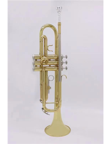 TROMPETA AMADEUS EN SIB TR600 2