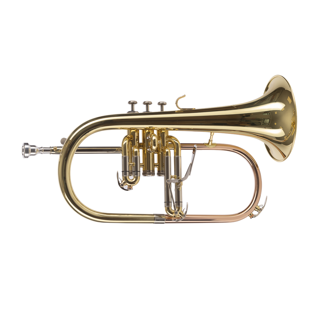 FLISCORNO AMADEUS PISTONES MONEL