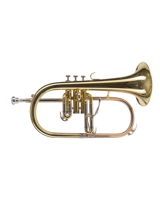 FLISCORNO AMADEUS PISTONES MONEL