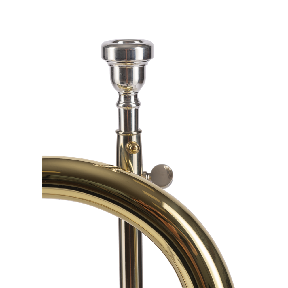 FLISCORNO AMADEUS PISTONES MONEL