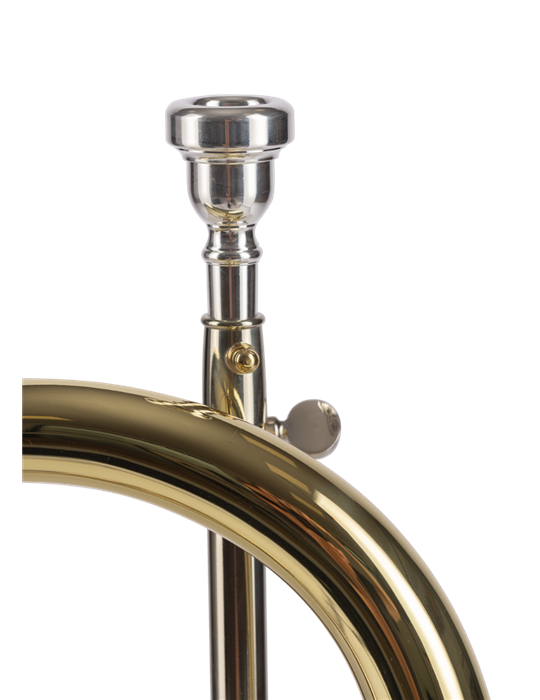 FLISCORNO AMADEUS PISTONES MONEL