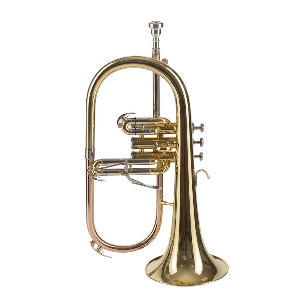 FLISCORNO AMADEUS PISTONES MONEL