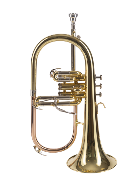 FLISCORNO AMADEUS PISTONES MONEL