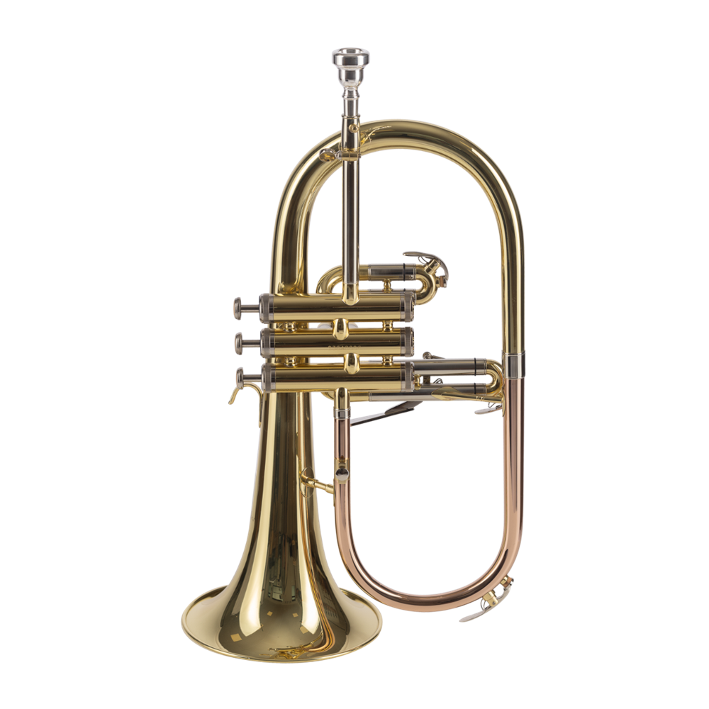 FLISCORNO AMADEUS PISTONES MONEL