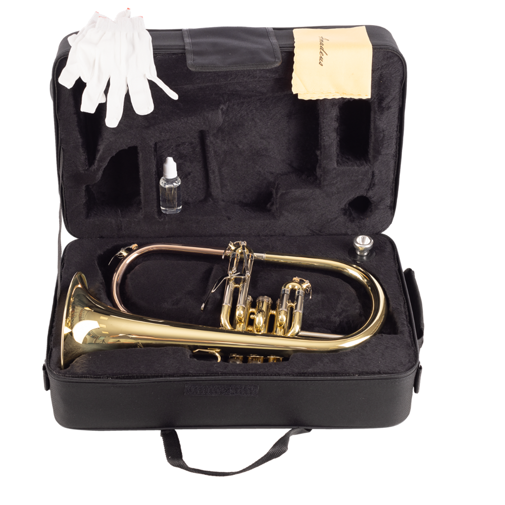 FLISCORNO AMADEUS PISTONES MONEL