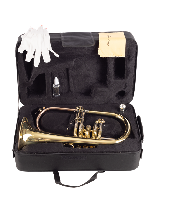 FLISCORNO AMADEUS PISTONES MONEL