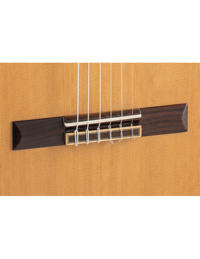 GUITARRA CLÁSICA ADMIRA A20 ELECTRIFICADA CON FISHMAN SERIE ARTESANÍA