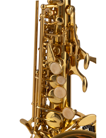 SAXO SOPRANO AMADEUS CURVO 2