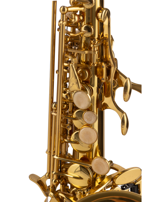 SAXO SOPRANO AMADEUS CURVO