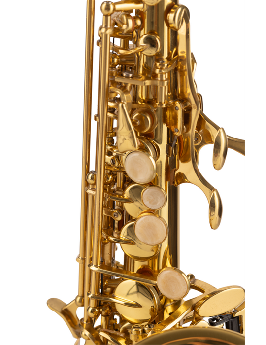 SAXO SOPRANO AMADEUS CURVO