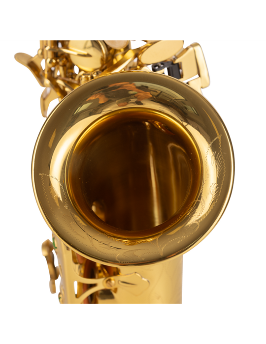 SAXO SOPRANO AMADEUS CURVO