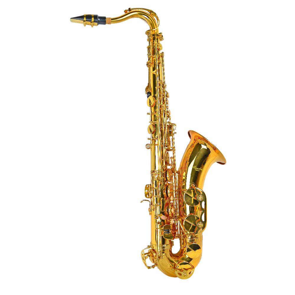 SAXO TENOR AMADEUS EN Sib