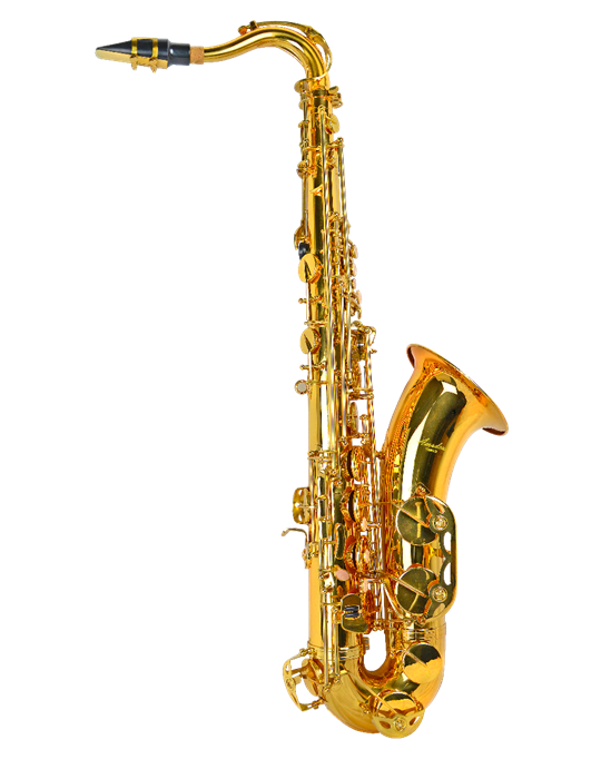 SAXO TENOR AMADEUS EN Sib