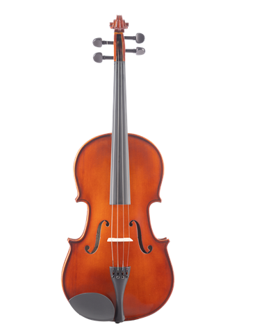 VIOLA AMADEUS VLF14