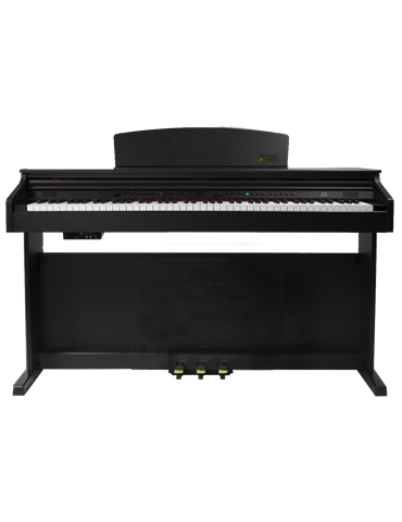 PIANO DIGITAL ARTESIA DP10-E