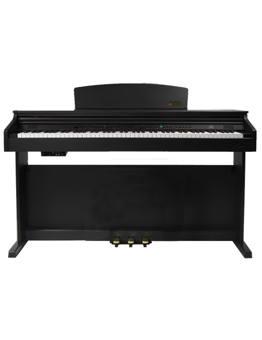PIANO DIGITAL ARTESIA DP10-E