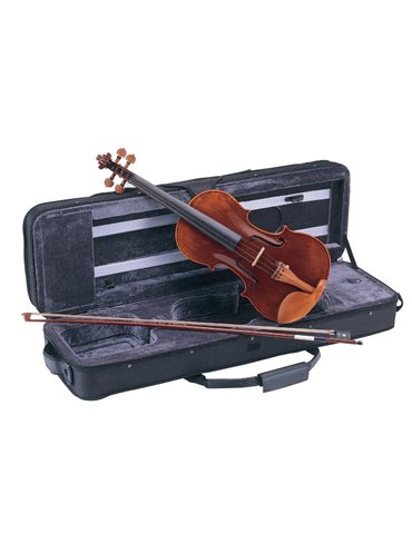 VIOLÍN CARLO GIORDANO VS2 1/2