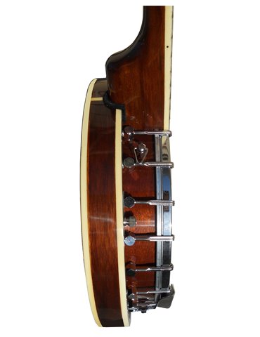 BANJO DAYTONA BJ5 2