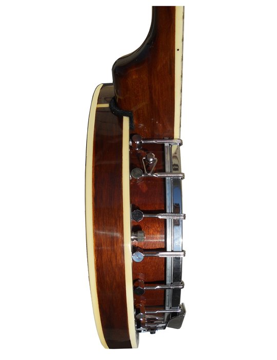 BANJO DAYTONA BJ5