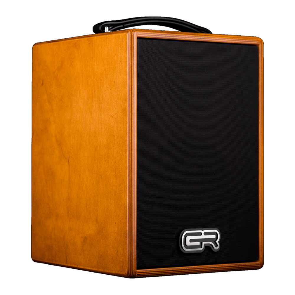 AMPLIFICADOR COMBO ACÚSTICA WD5 80W