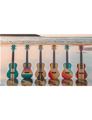 UKELELE KALA CONCIERTO SERIE SURF FAR OUT 2