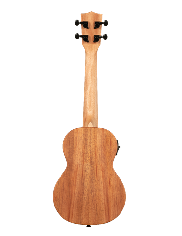 UKELELE KALA CONCIERTO ELECTRIFICADO JAMES HILL TODO MACIZO 2