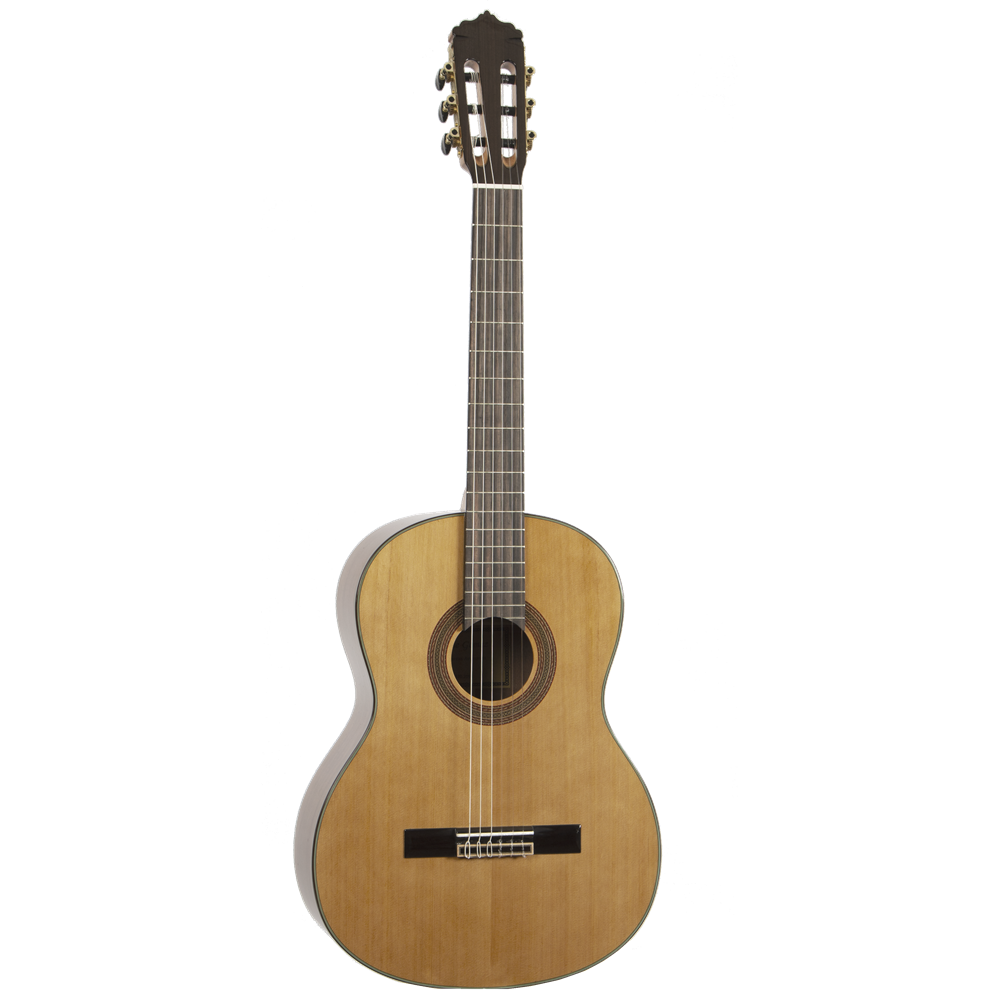 C50 - GUITARRA CLASICA JOSE GOMEZ SAPELLY TAPA SOLIDA MODELO 2021