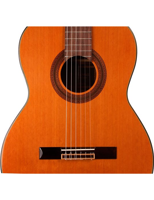 C60 - GUITARRA CLASICA JOSE GOMEZ PALOSANTO TAPA SOLIDA MODELO 2021