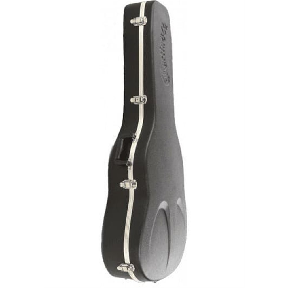 ESTUCHE ACÚSTICA MARTIN 000 (14 Fr)