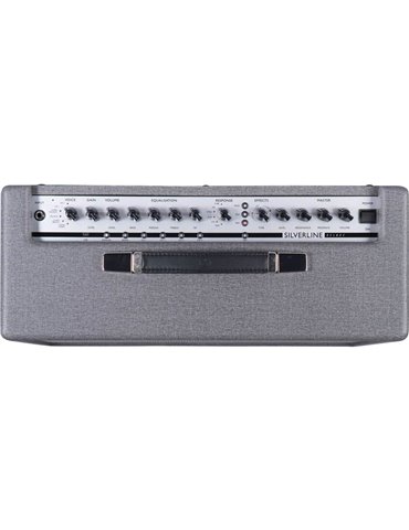 SILVERLINE STEREO DELUXE 100W 2X12 2